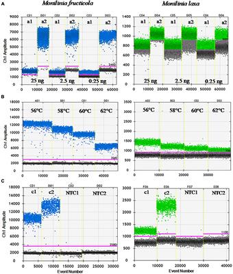 A Duplex-Droplet Digital PCR Assay for Simultaneous Quantitative Detection of Monilinia fructicola and Monilinia laxa on Stone Fruits